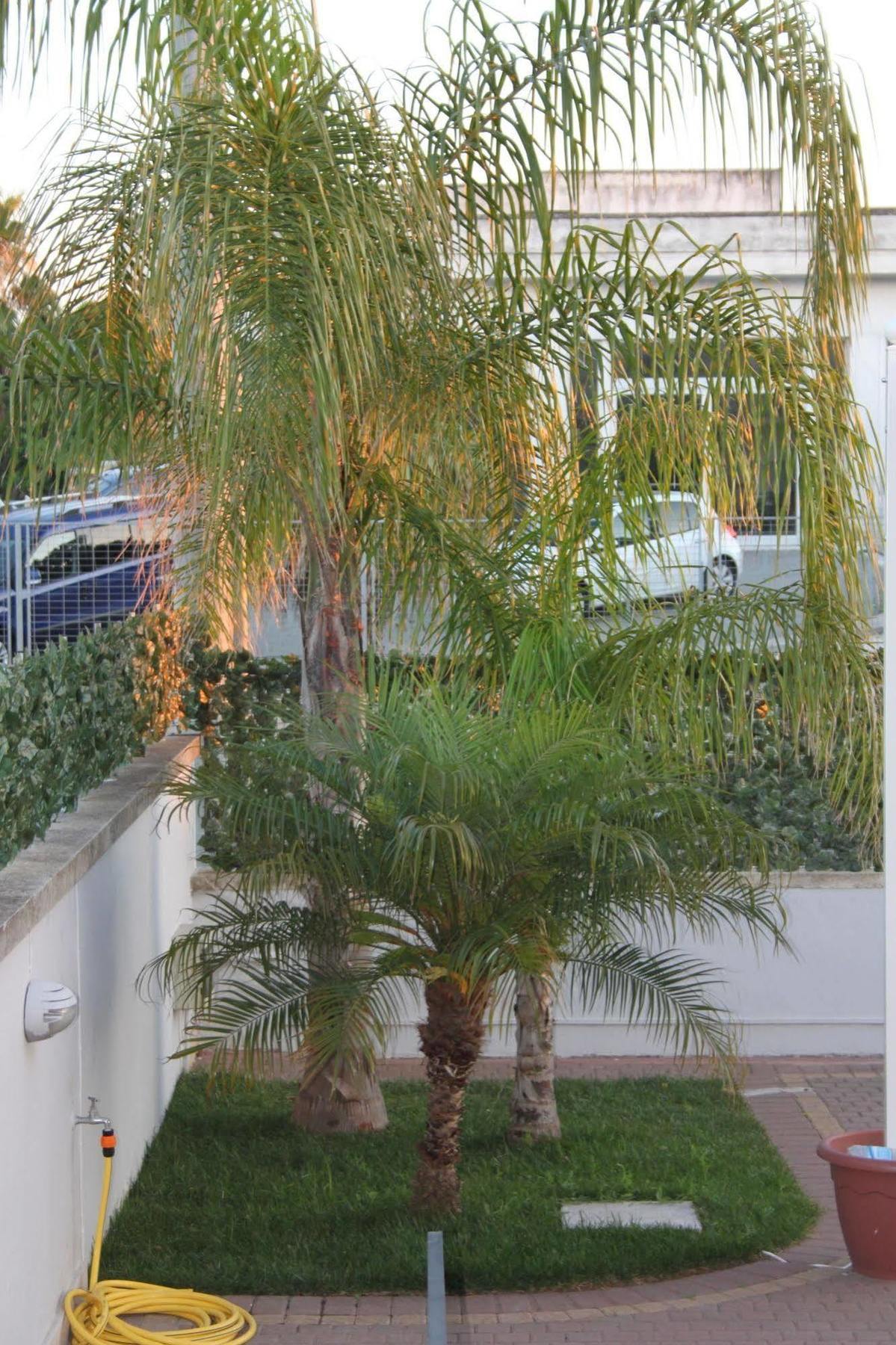 Kalinifta Residence การ์ปิญาโน ซาเลนติโน ภายนอก รูปภาพ